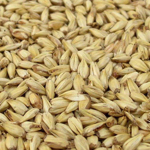 Солод Crystal Malt 10