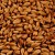 Солод Crystal Malt 20