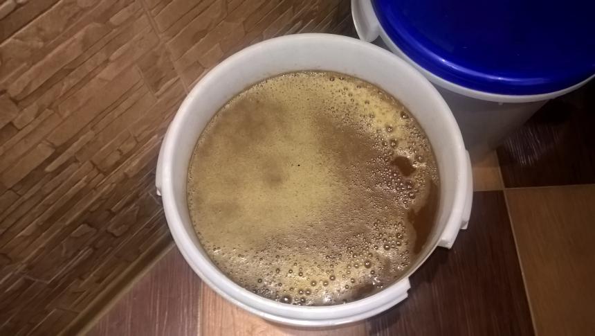 Брожение дрожжей White Labs WLP001 California Ale